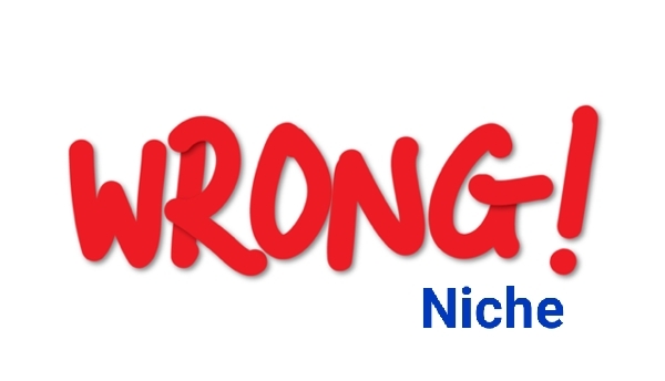 Reason 1 Selecting the wrong niche