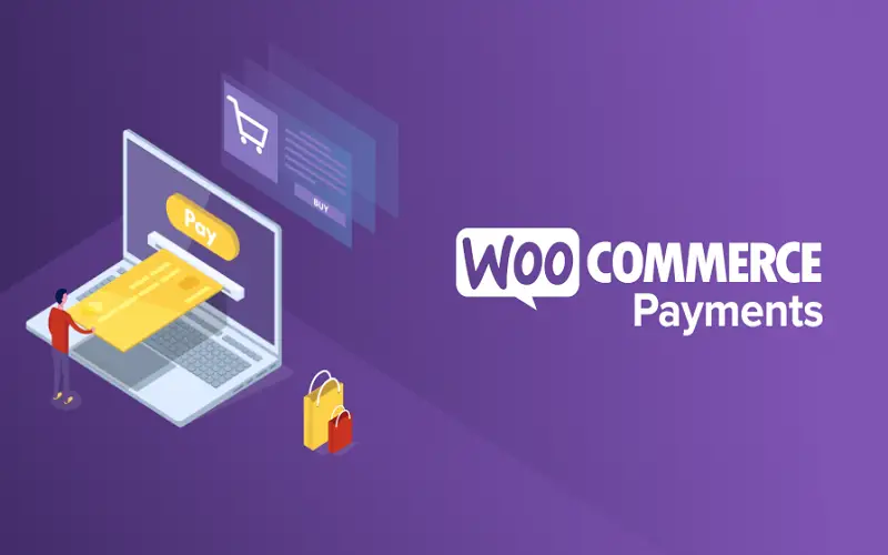 Know What WooCommerce Payments Are