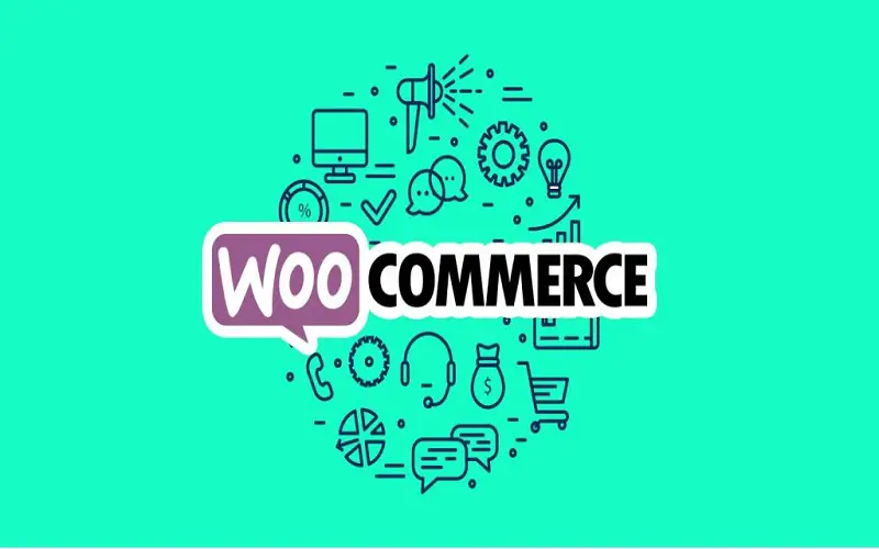 Know Your WooCommerce Payment Options
