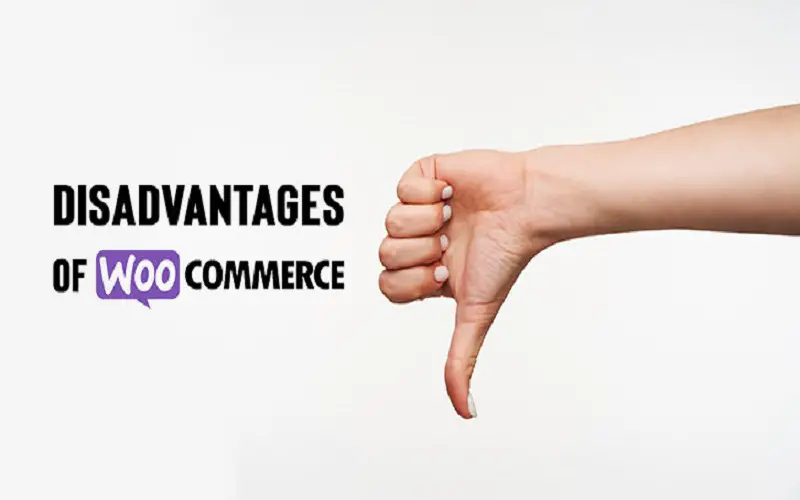 What Are Some Common Disadvantages of WooCommerce