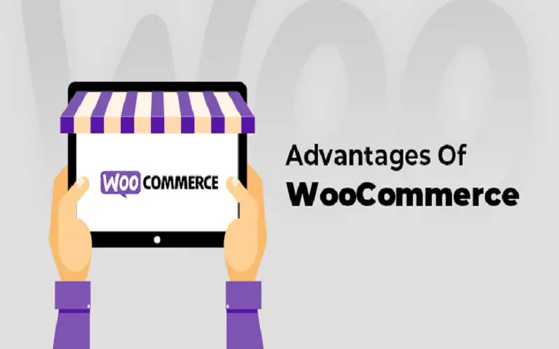 What Are the Advantages of WooCommerce