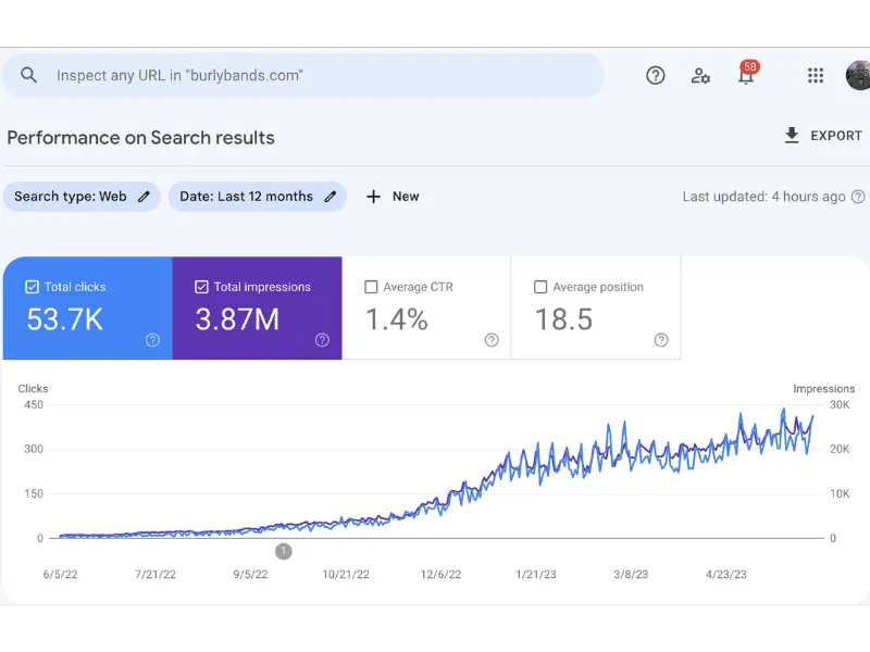 Google Search Console 12 month view