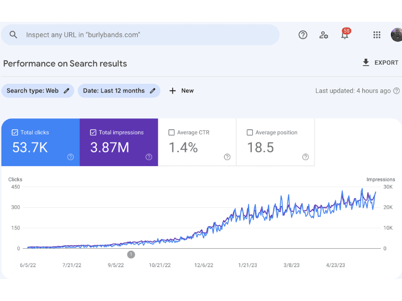 Google Search Console 12 month view