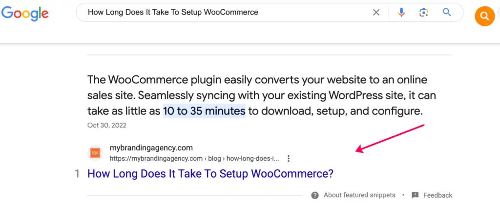 How Long Does It Take To Setup WooCommerce