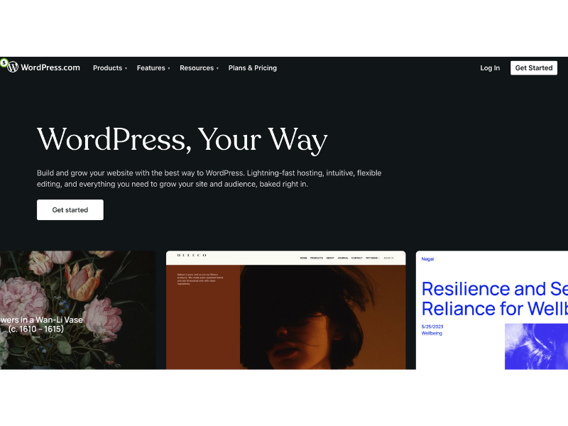 wordpress.com