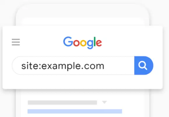 How Google sees your site